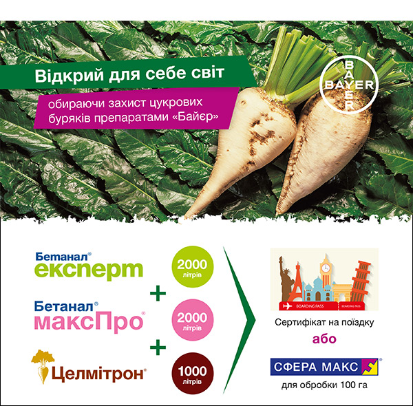 activation-sugarbeet